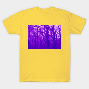 VELVET WOOD: Purple T-Shirt